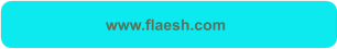 www.flaesh.com