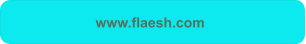 www.flaesh.com