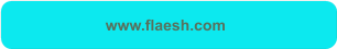 www.flaesh.com