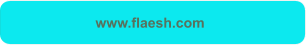 www.flaesh.com